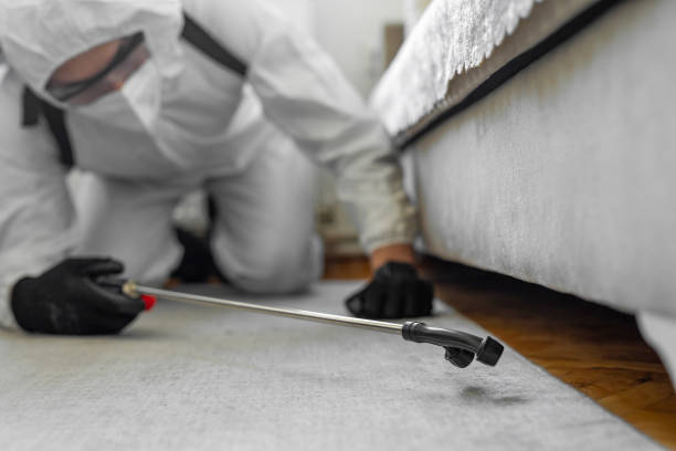 Professional Termite Control technician working in Lincoln, MT