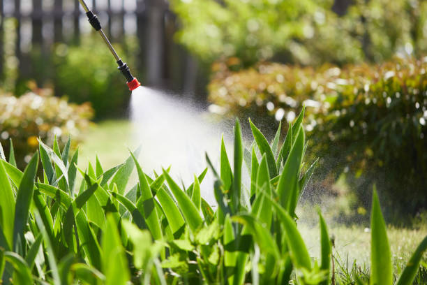 24/7 Emergency Termite Control experts in Lincoln, MT