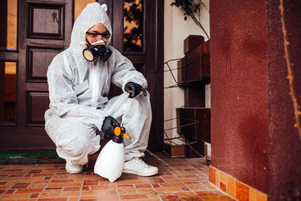 Reliable Termite Control contractor in Lincoln, MT by Nex Pest Control