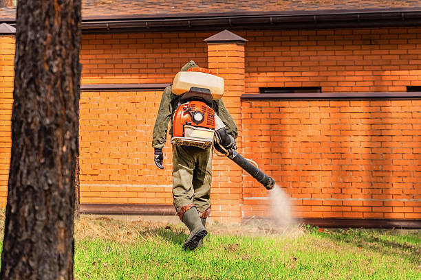 Top rated local Termite Control specialists in Lincoln, MT
